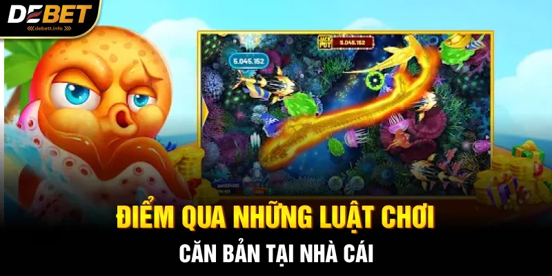 Điểm qua những luật chơi căn bản tại nhà cái