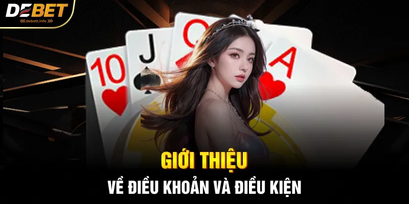 Giới thiệu về điều khoản và điều kiện